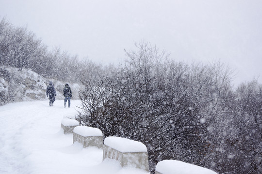 雪中仰天山