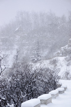 雪中仰天山