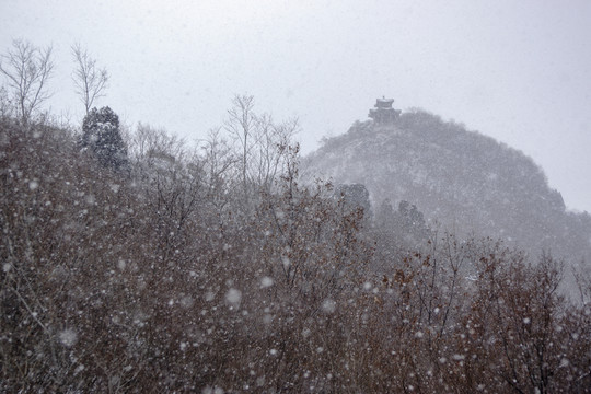 雪花飄