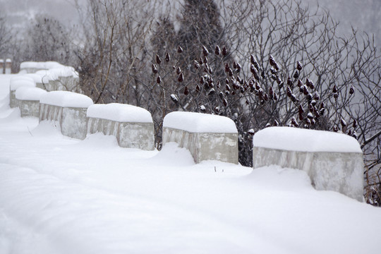雪