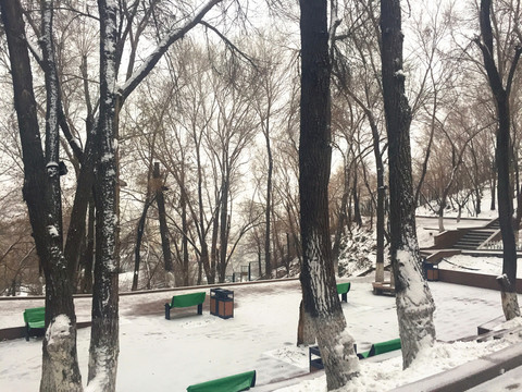 公園雪地