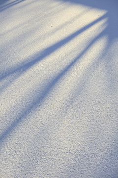 冬雪