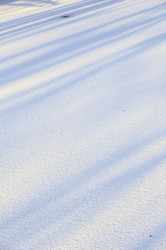 雪地