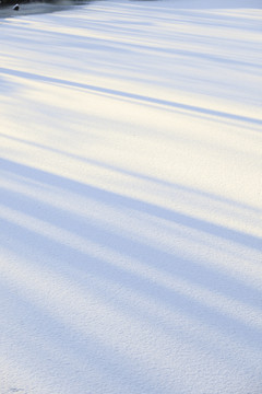 雪地
