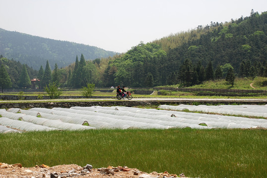云居山風情