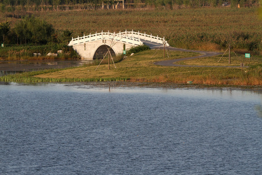濕地公園