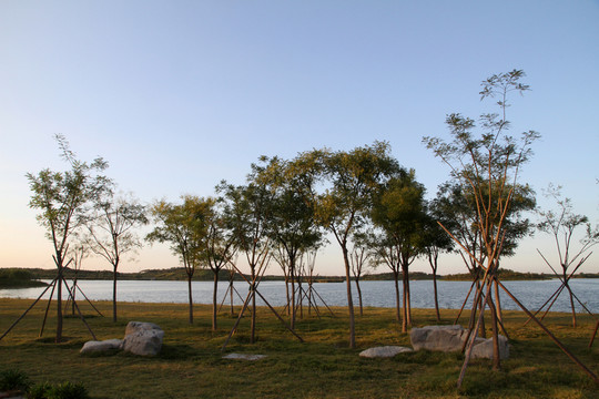 濕地公園
