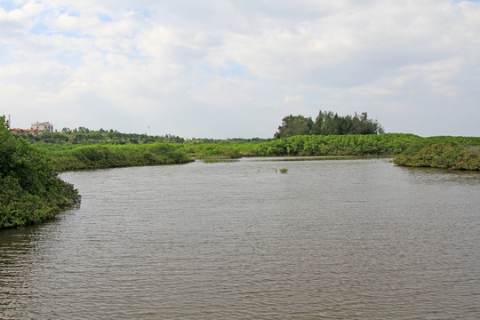 海南濕地公園