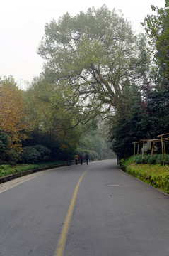 杭州三台山晨雾风景