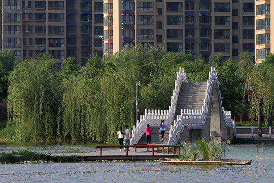公園 小區(qū)綠化 景觀橋