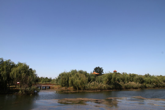 濕地公園