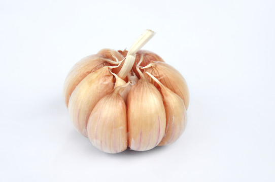 大蒜 蒜瓣