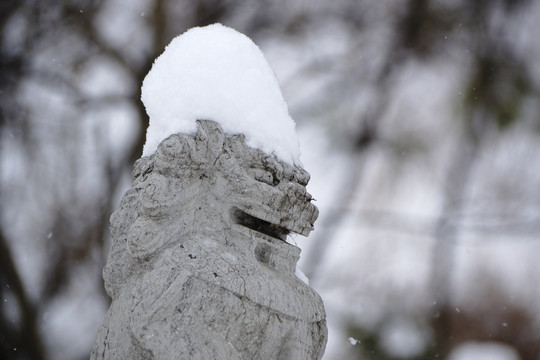 雪 石獅子