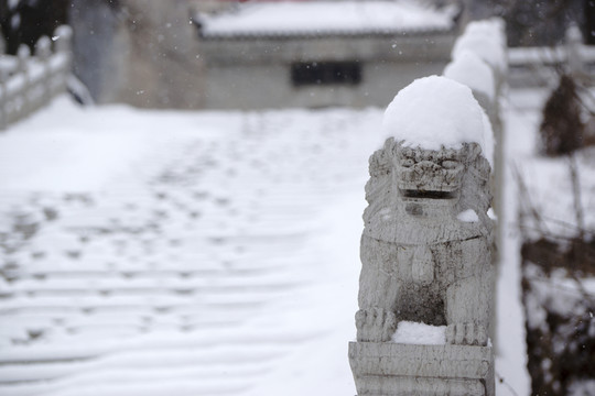 雪 石獅子