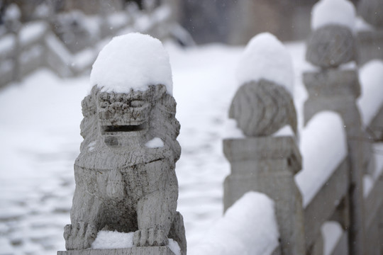 雪 石獅子