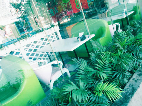 茶餐厅的桌椅和外面的绿化