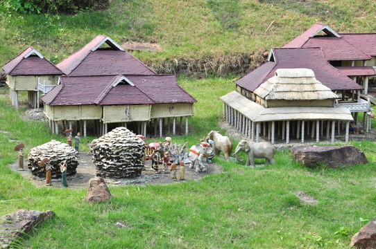 少數(shù)民族 象族