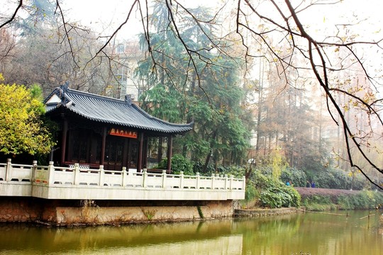 烏龍?zhí)豆珗@風(fēng)光