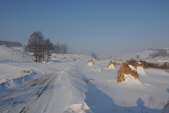 冬景