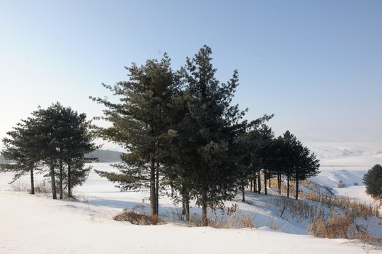 冬景