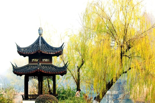 烏龍?zhí)豆珗@風光
