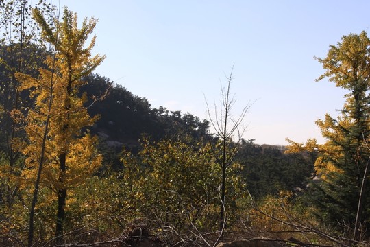 秋季大山風景