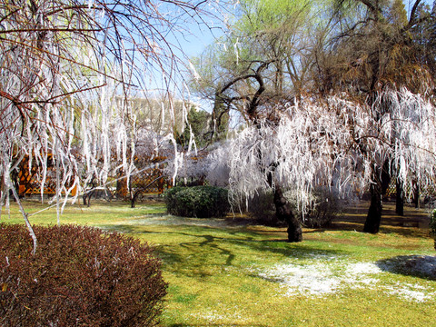 公園冰雪世界