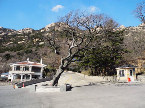 青島嶗山太清宮宮前廣場(chǎng)