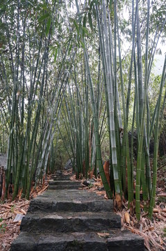 小路