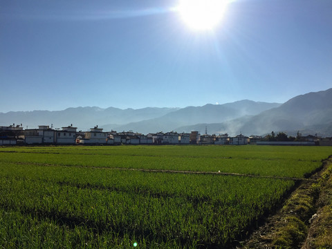 喜洲鎮(zhèn) 田園風(fēng)光