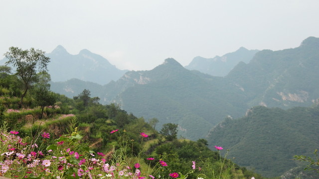 坡峰嶺風光