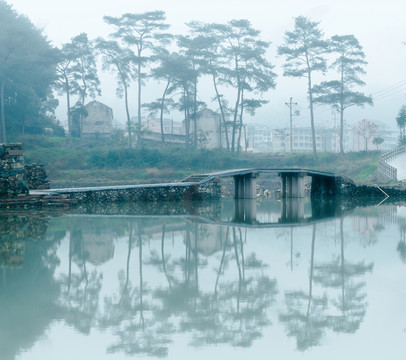 樹木 小橋