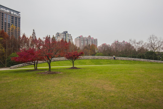 公園一角