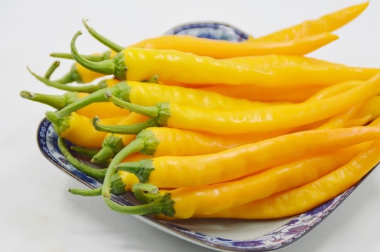 航天椒