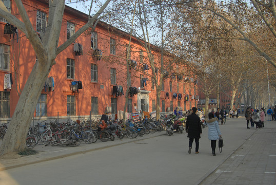 大學(xué)校園 校園 河南農(nóng)大 筒子
