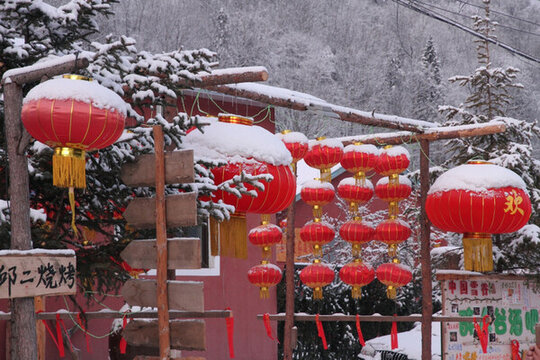 大紅燈籠高高掛