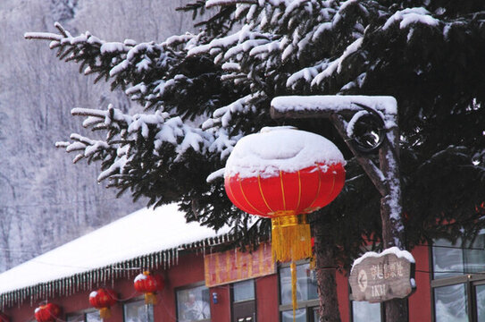 中國雪鄉(xiāng) 紅燈籠