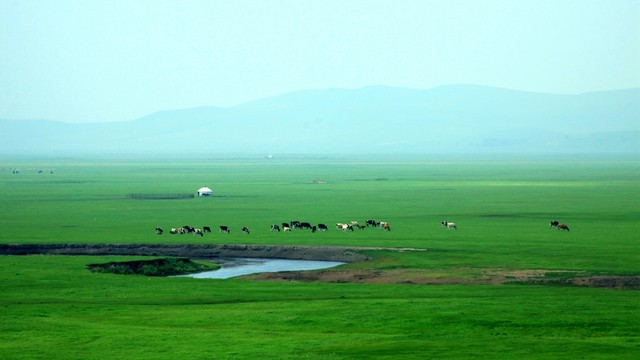 夏季草原牧場(chǎng)河流