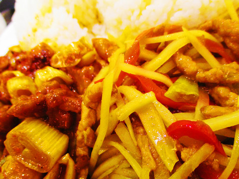 土豆肉絲宮保雞丁雙拼飯寫實