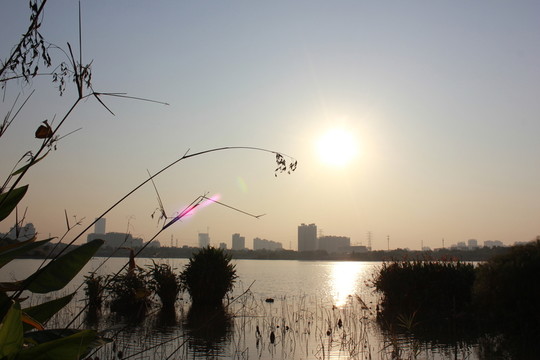 晚景