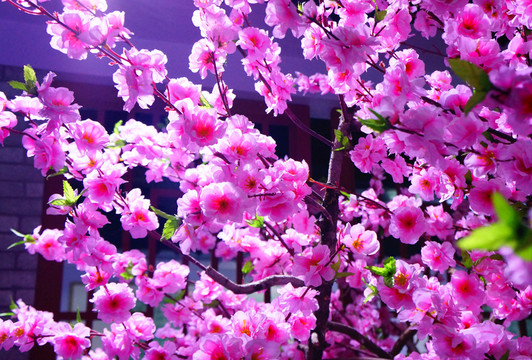 桃花 絹花