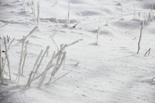 雪地 雪素材
