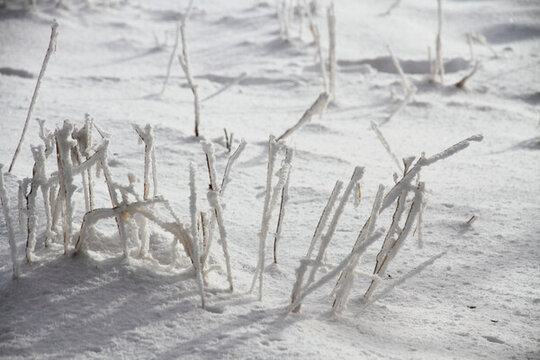 曠野雪地 雪地紋理
