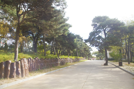 北戴河