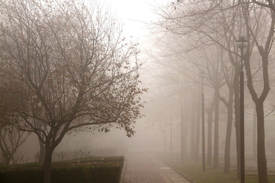 霧霾中的公園