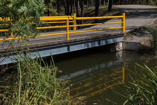 公園里的橋