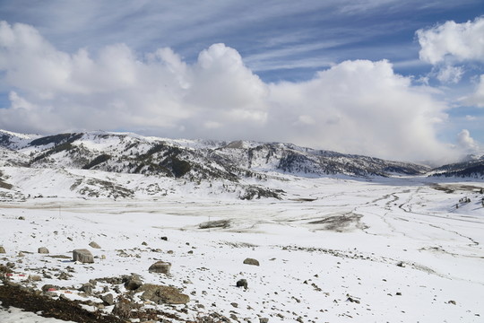 阿勒泰雪景