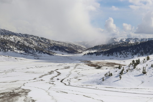 阿勒泰雪景