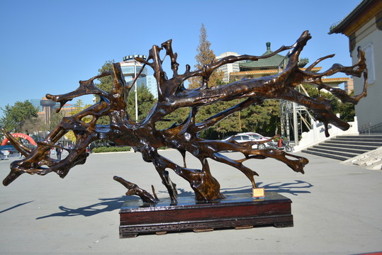 金絲楠木