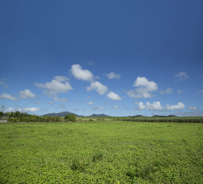 田野美景